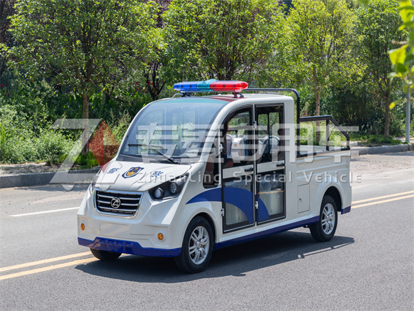 电动车电瓶更换：价格差异背后的秘密，电动观光车如何选择？